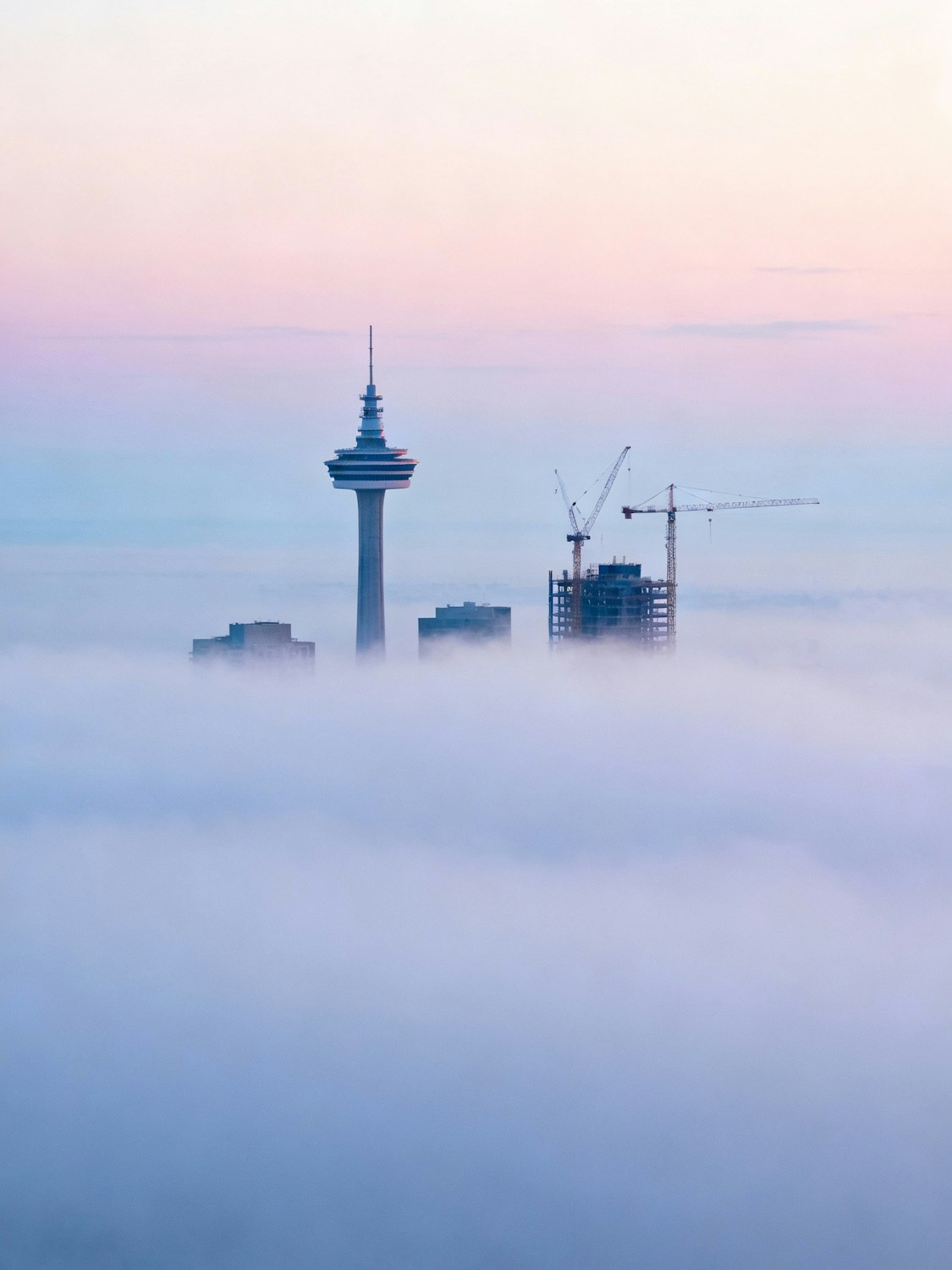 A city skyline of tall towers and construction cranes emerging through fog under a pale pastel sky